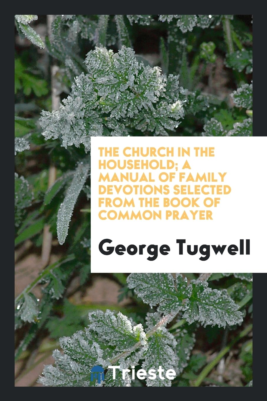 The Church in the Household; A Manual of Family Devotions Selected from the Book of Common Prayer Books