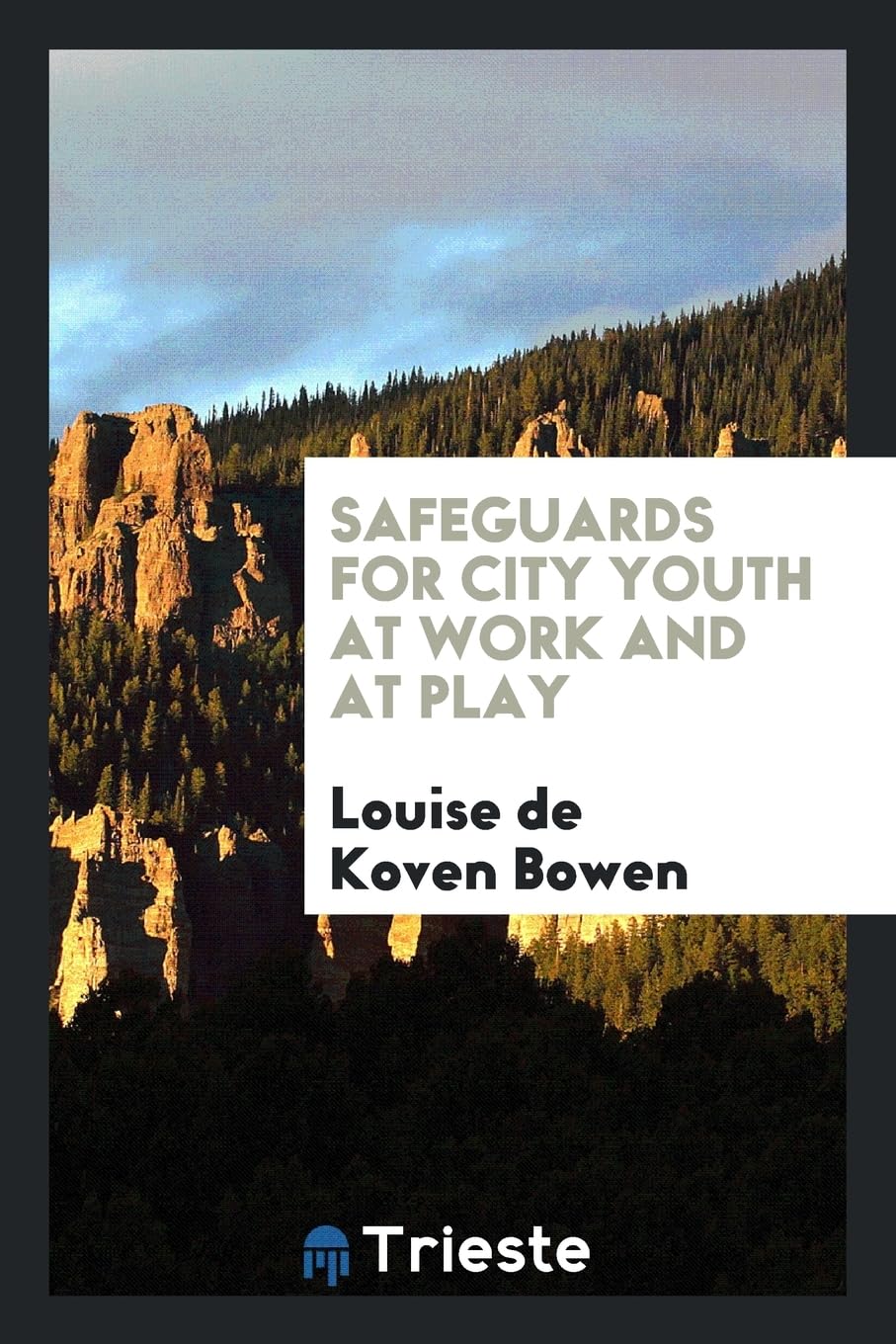 Safeguards for City Youth at Work and at Play Law