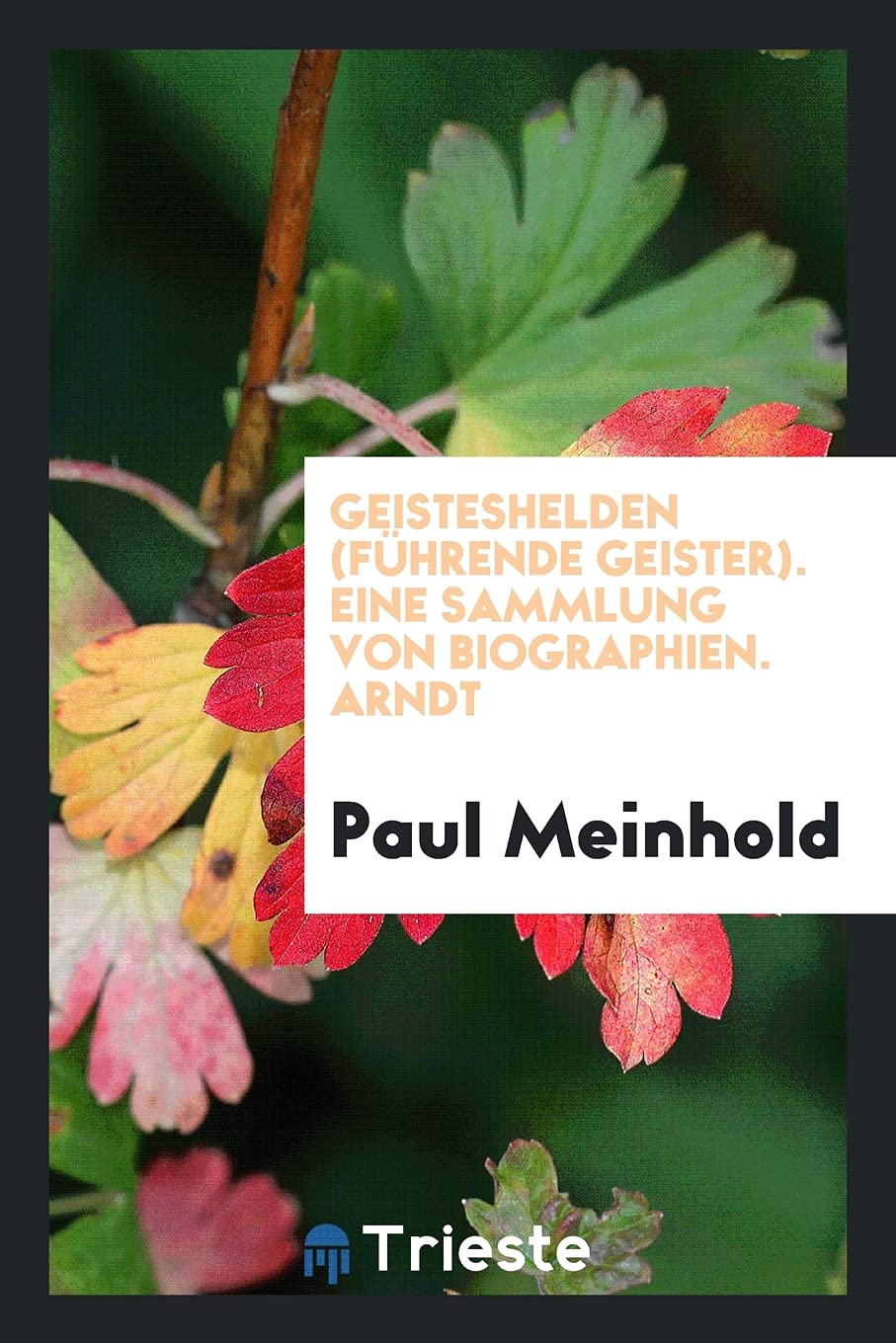 Geisteshelden (F hrende Geister). Eine Sammlung Von Biographien. Arndt Books