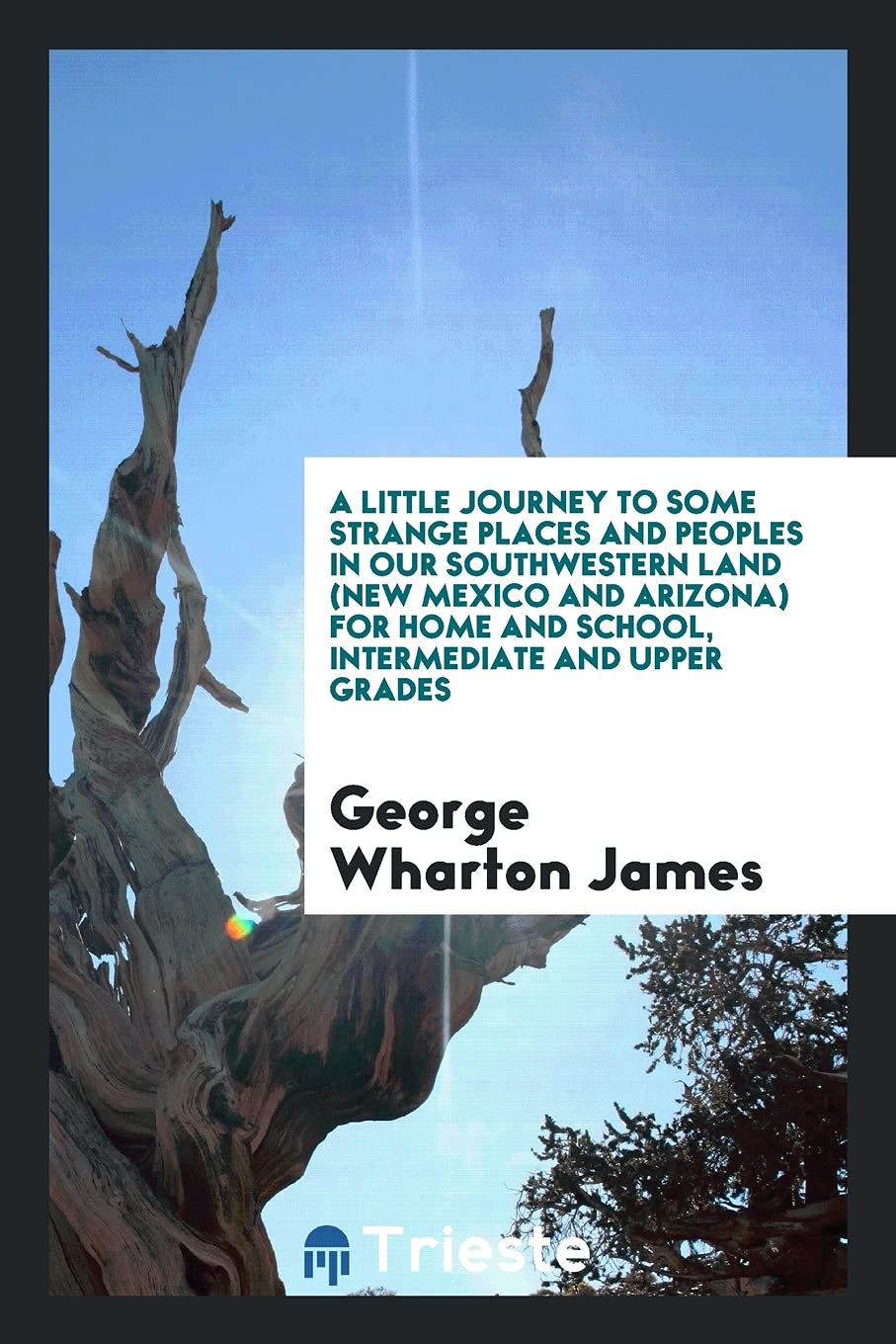 A Little Journey to Some Strange Places and Peoples in Our Southwestern Land (New Mexico and Arizona) for Home and School, Intermediate and Upper Grades Politics & History