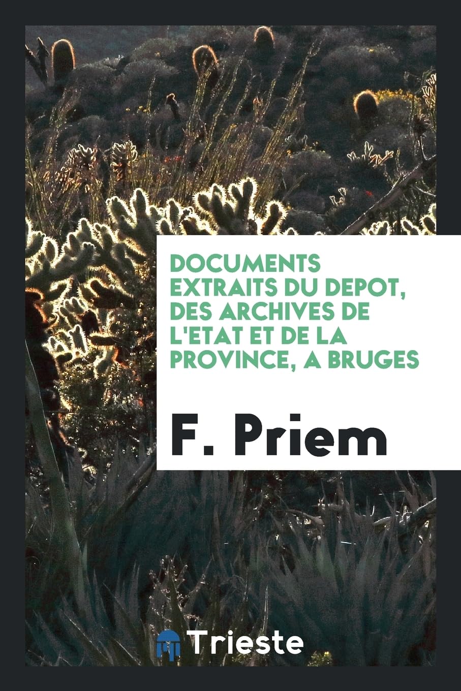 Documents Extraits Du Depot, Des Archives de l'Etat Et de la Province, a Bruges Books