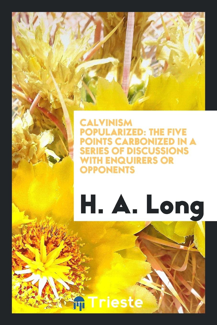 Calvinism Popularized: The Five Points Carbonized in a Series of Discussions with Enquirers or Opponents Politics & History