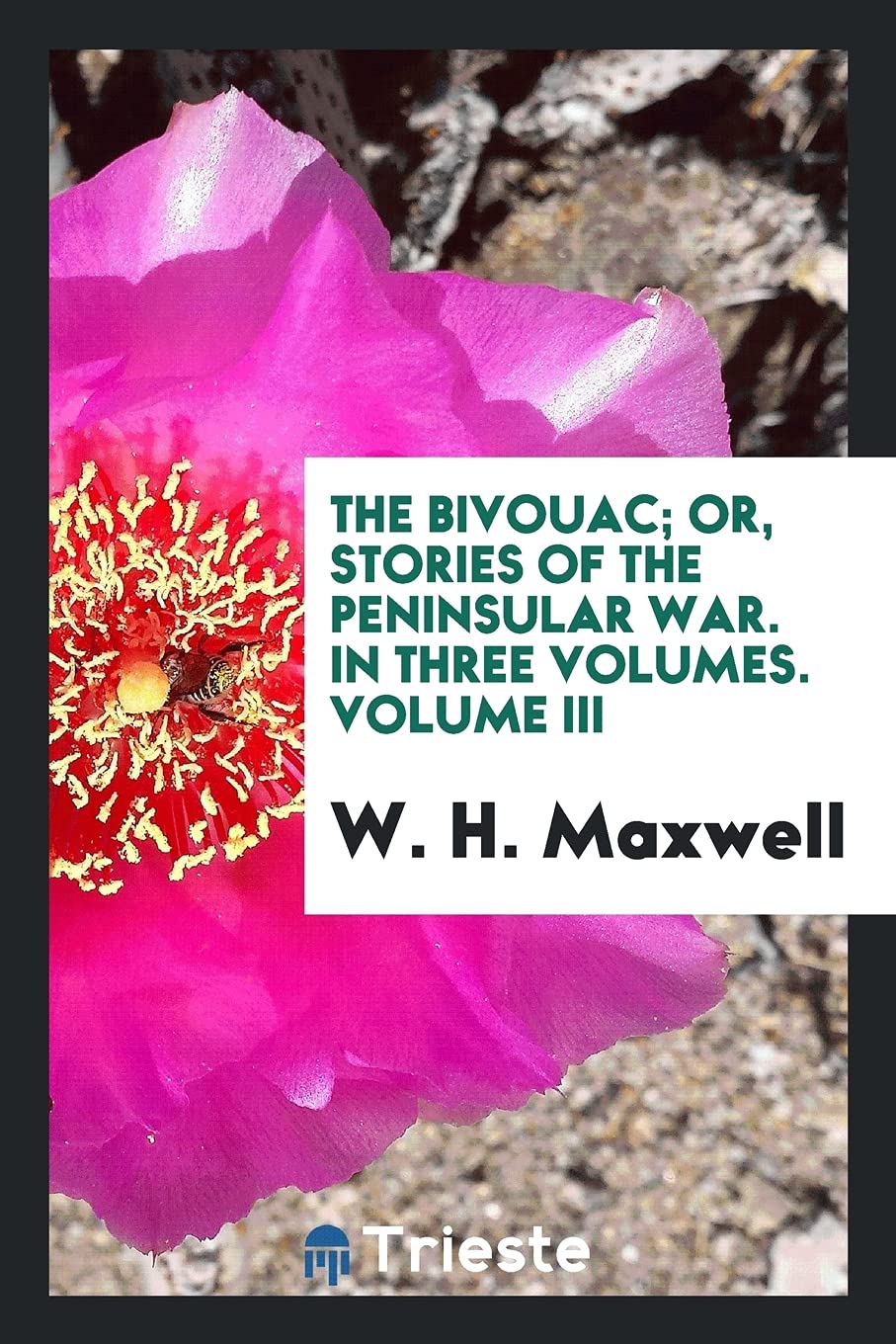 The Bivouac; Or, Stories of the Peninsular War. in Three Volumes. Volume III Politics & History