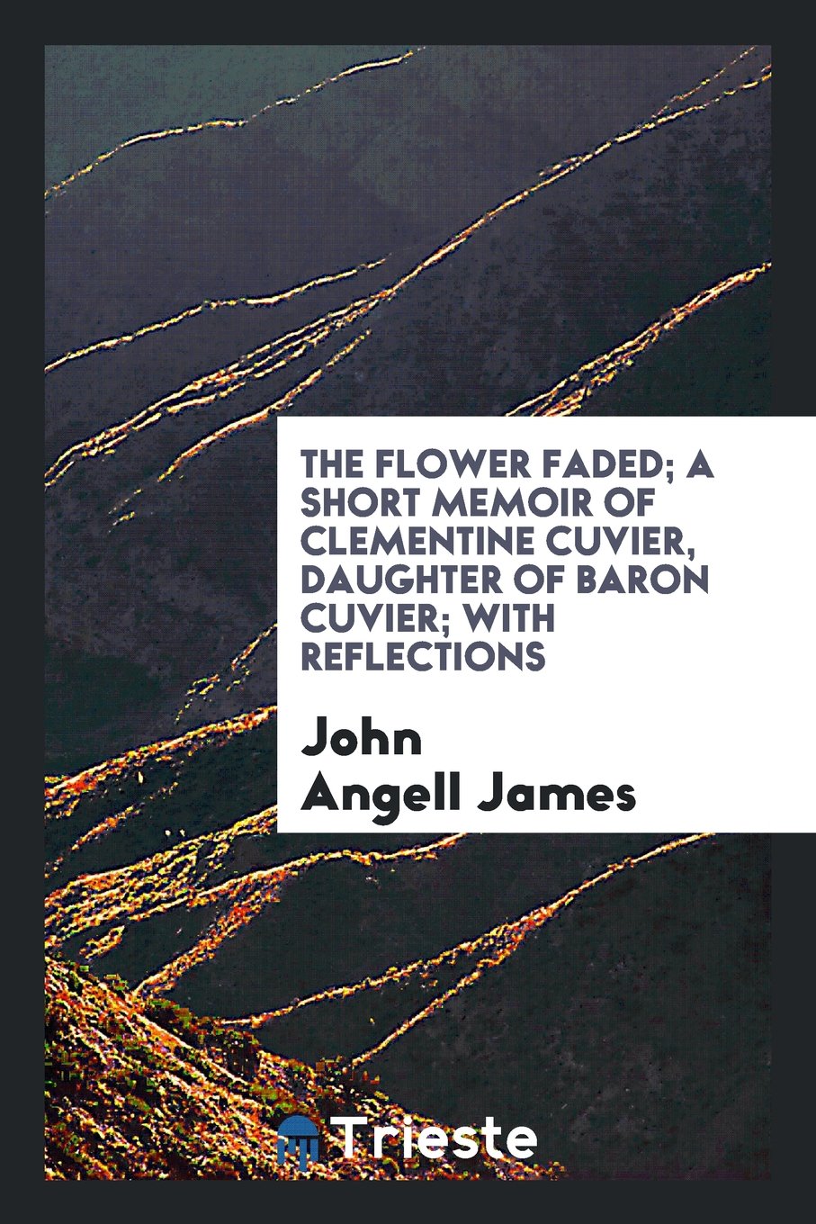 The Flower Faded; A Short Memoir of Clementine Cuvier, Daughter of Baron Cuvier; With Reflections Books