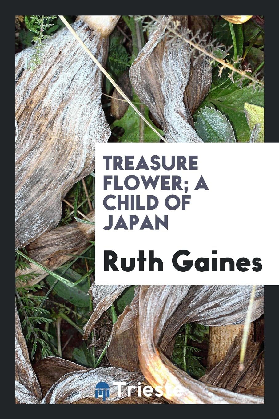 Treasure Flower; A Child of Japan Politics & History