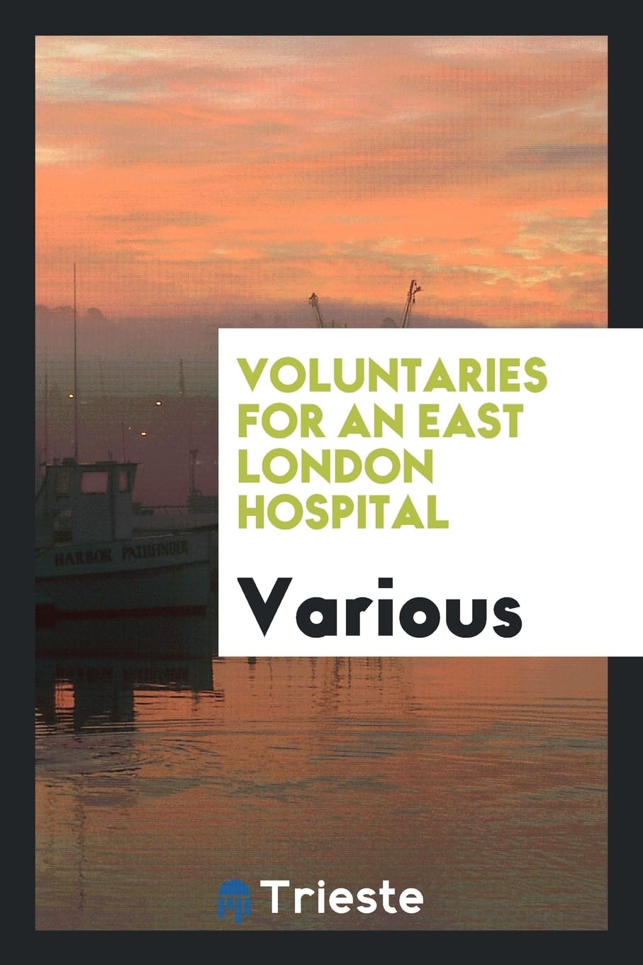 Voluntaries for an East London Hospital Books