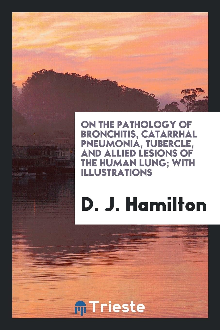 On the Pathology of Bronchitis, Catarrhal Pneumonia, Tubercle, and Allied Lesions of the Human Lung; With Illustrations Medicine