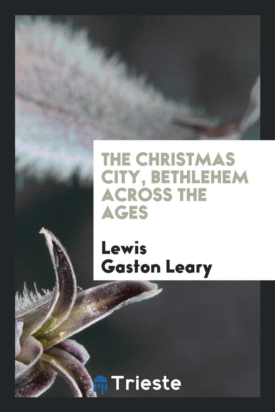 The Christmas City, Bethlehem Across the Ages Politics & History