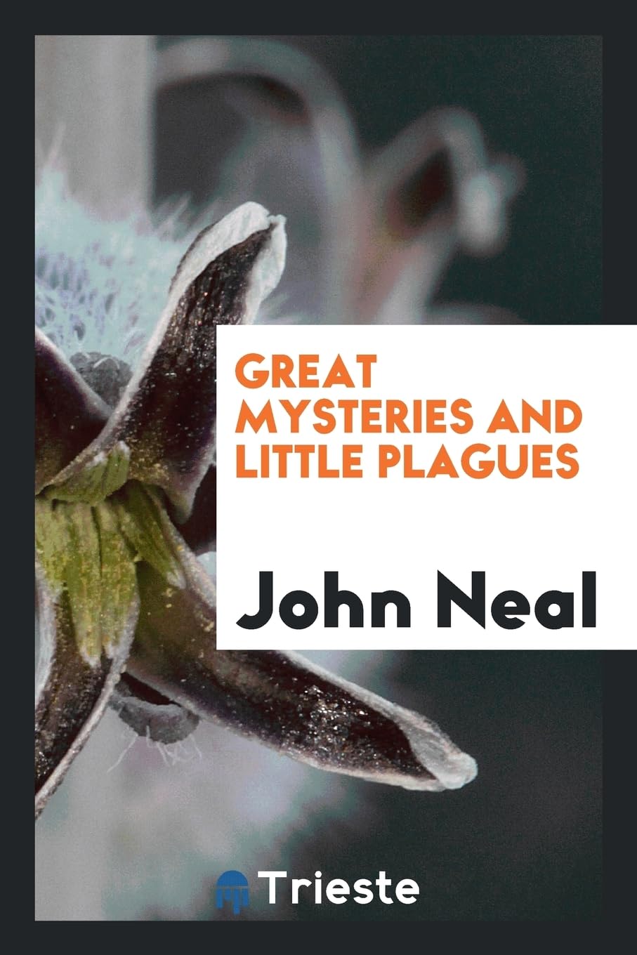 Great Mysteries and Little Plagues Contemporary literature