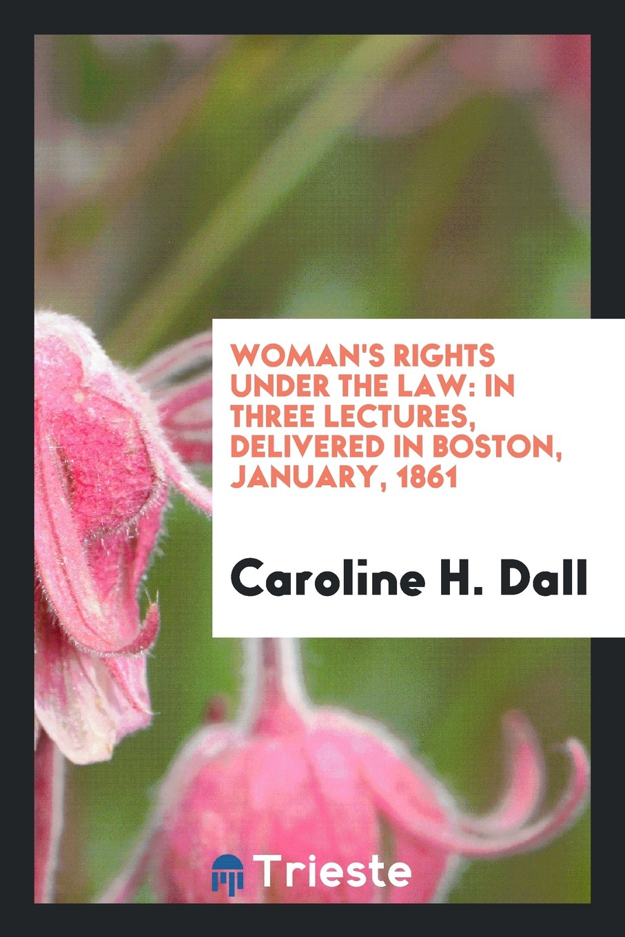 Woman's Rights Under the Law: In Three Lectures, Delivered in Boston, January, 1861 Books