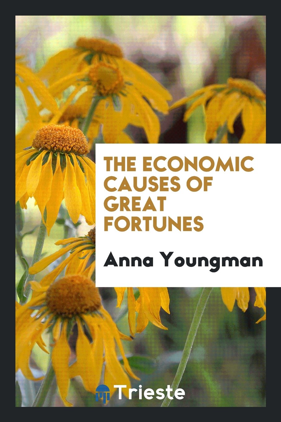 The Economic Causes of Great Fortunes Politics & History