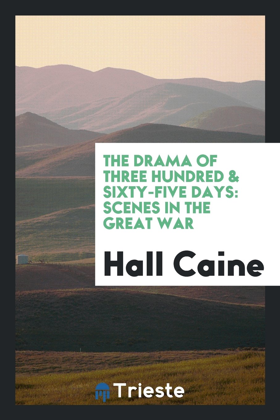 The Drama of Three Hundred & Sixty-Five Days: Scenes in the Great War Contemporary literature