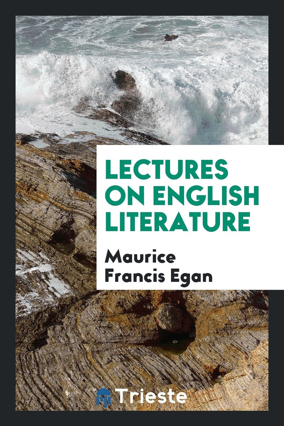Lectures on English Literature Politics & History