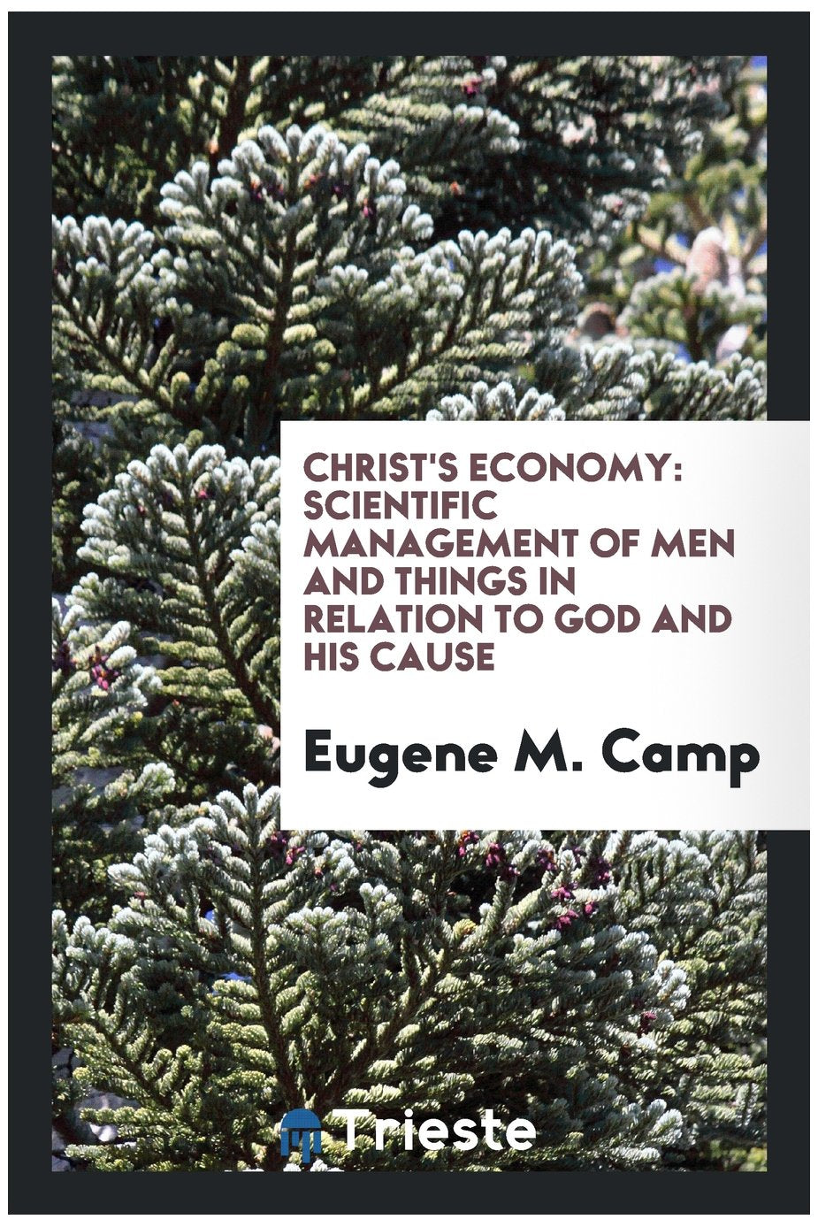 Christ's Economy: Scientific Management of Men and Things in Relation to God and His Cause Politics & History