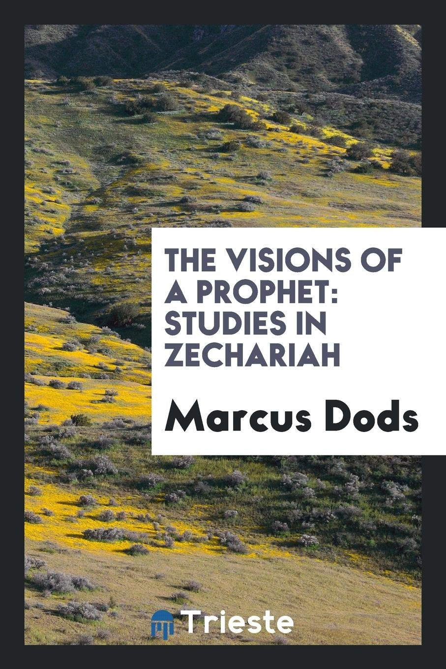 The Visions of a Prophet: Studies in Zechariah Contemporary literature