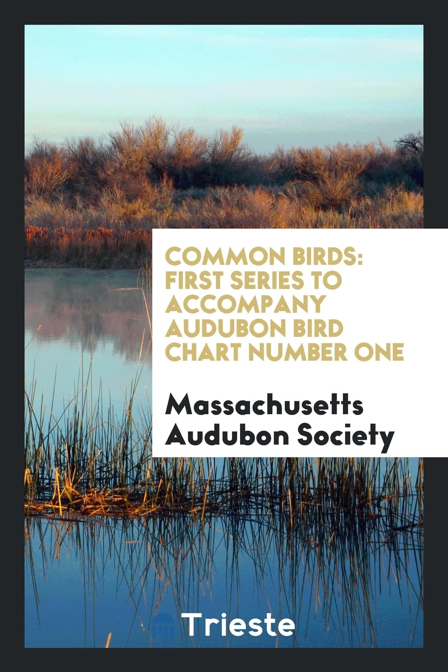 Common Birds: First Series to Accompany Audubon Bird Chart Number One Religion & Esotericism