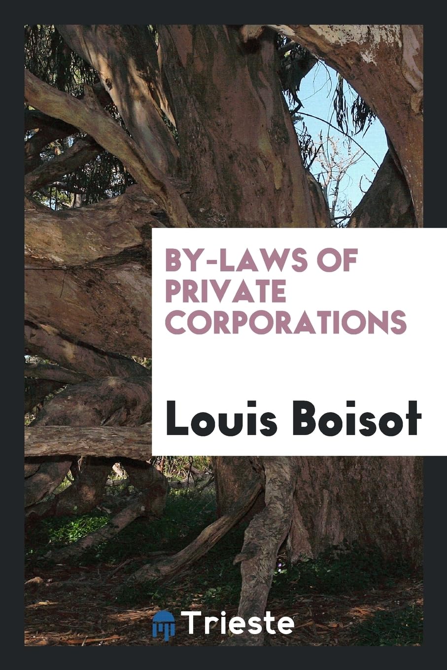 By-Laws of Private Corporations Politics & History
