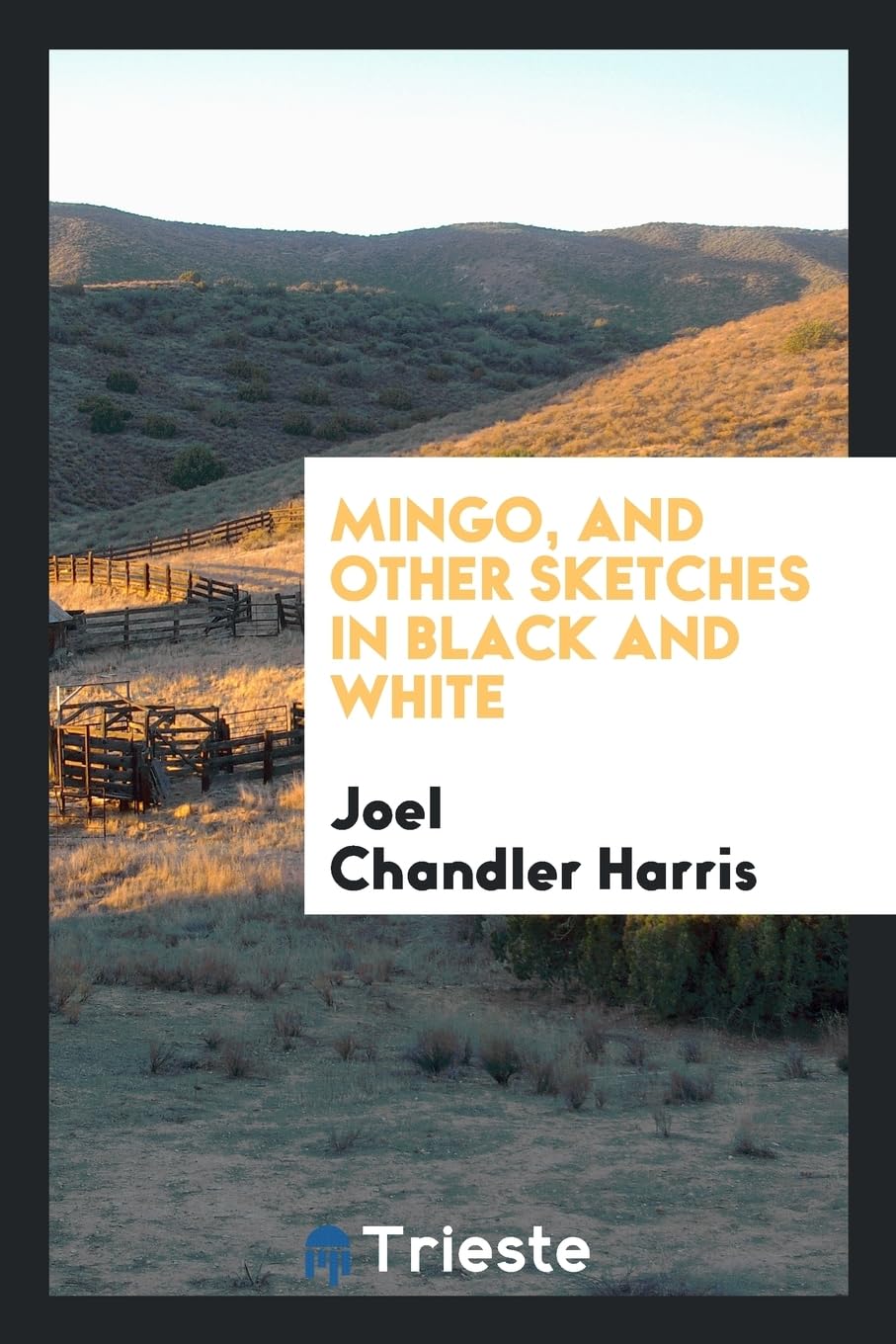 Mingo, and Other Sketches in Black and White Contemporary literature