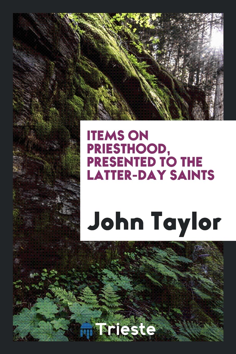 Items on Priesthood, Presented to the Latter-Day Saints Politics & History