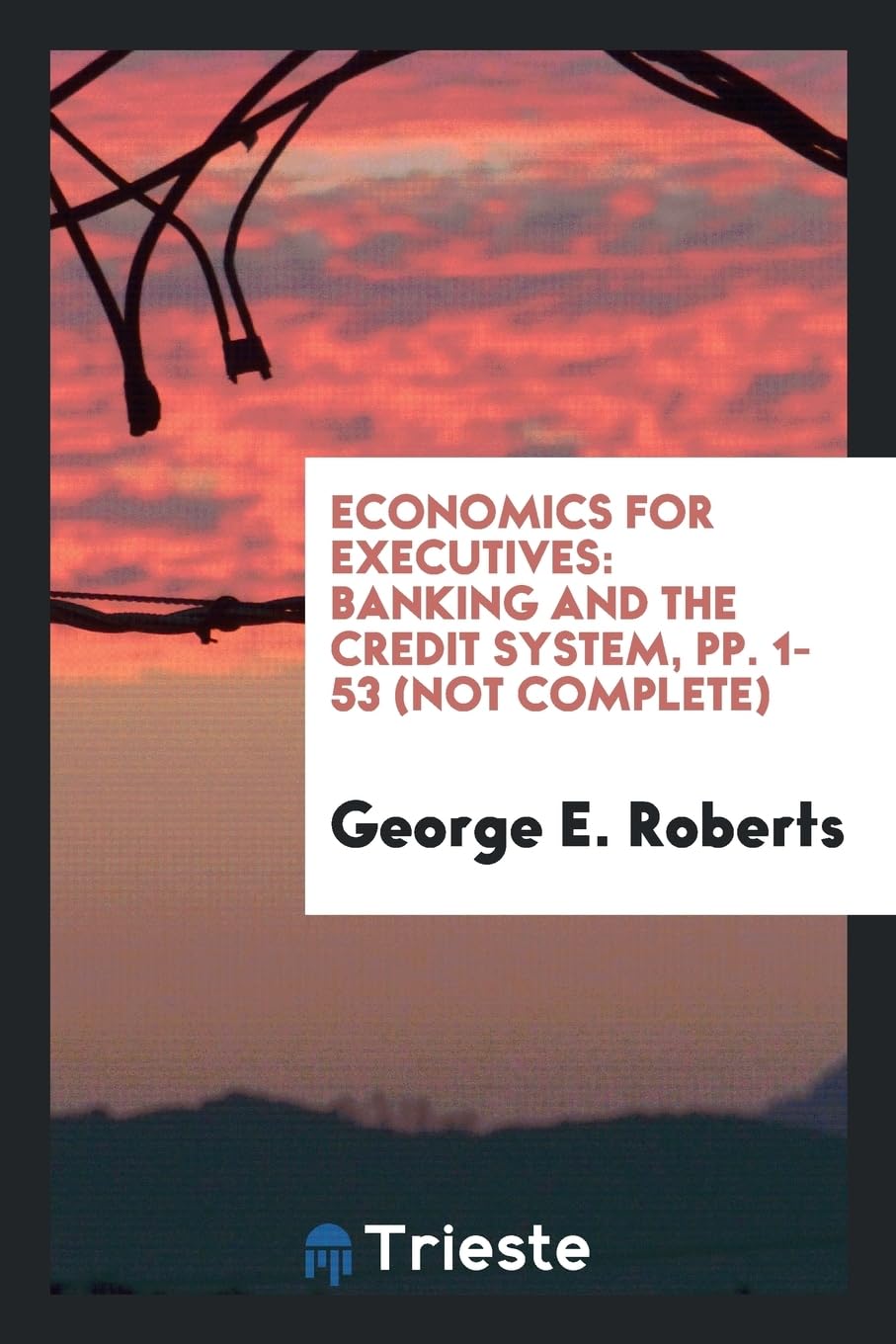 Economics for Executives: Banking and the Credit System, Pp. 1-53 (Not Complete) Books
