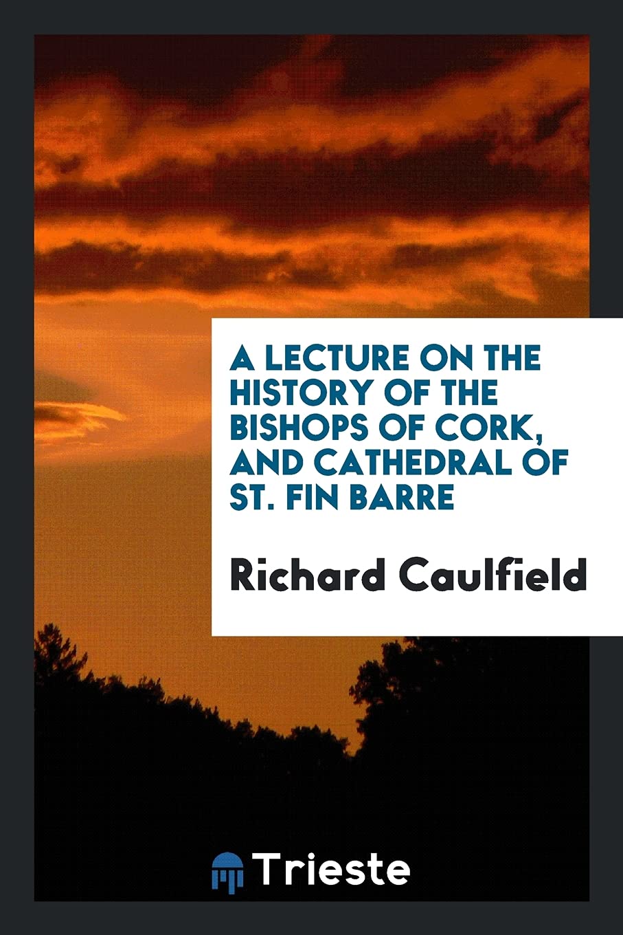 A Lecture on the History of the Bishops of Cork, and Cathedral of St. Fin Barre Contemporary literature