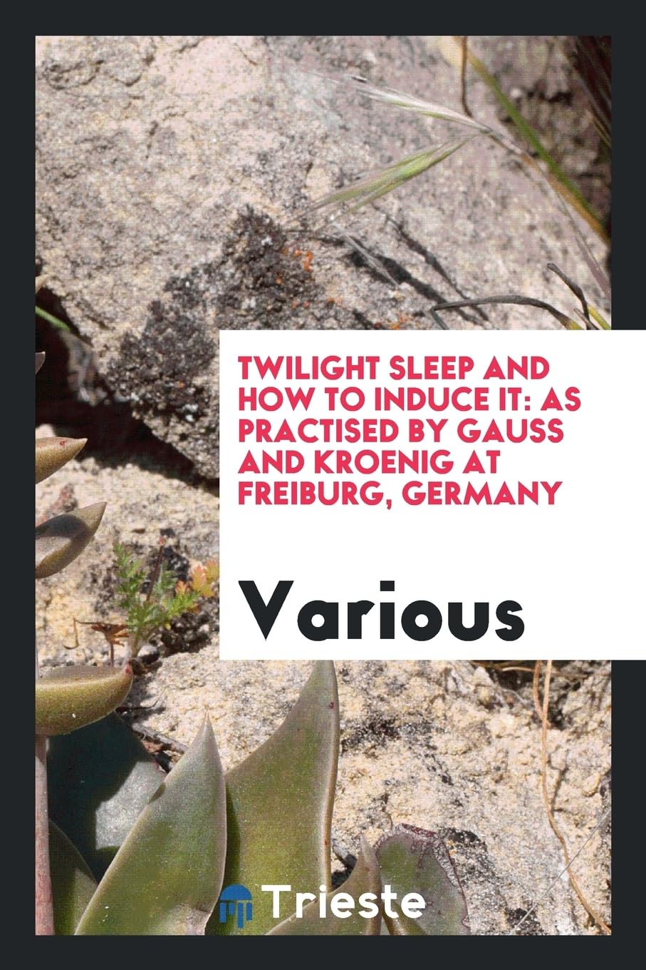 Twilight Sleep and How to Induce It: As Practised by Gauss and Kroenig at Freiburg, Germany Books