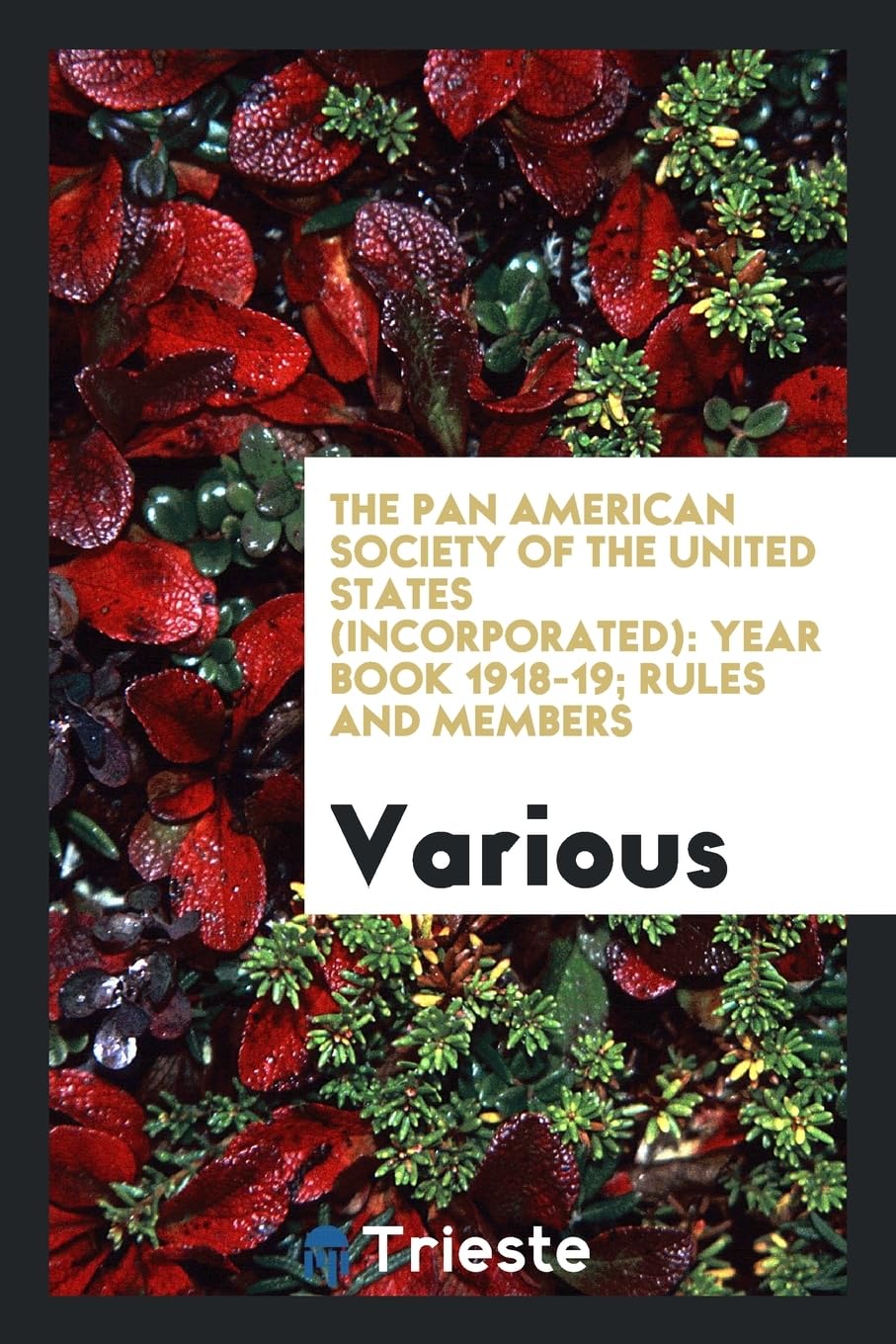 The Pan American Society of the United States (Incorporated): Year Book 1918-19; Rules and Members Politics & History