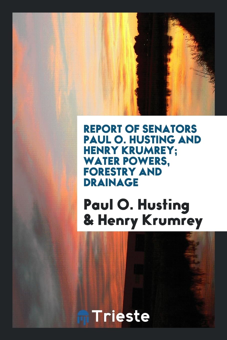 Report of Senators Paul O. Husting and Henry Krumrey; Water Powers, Forestry and Drainage Books
