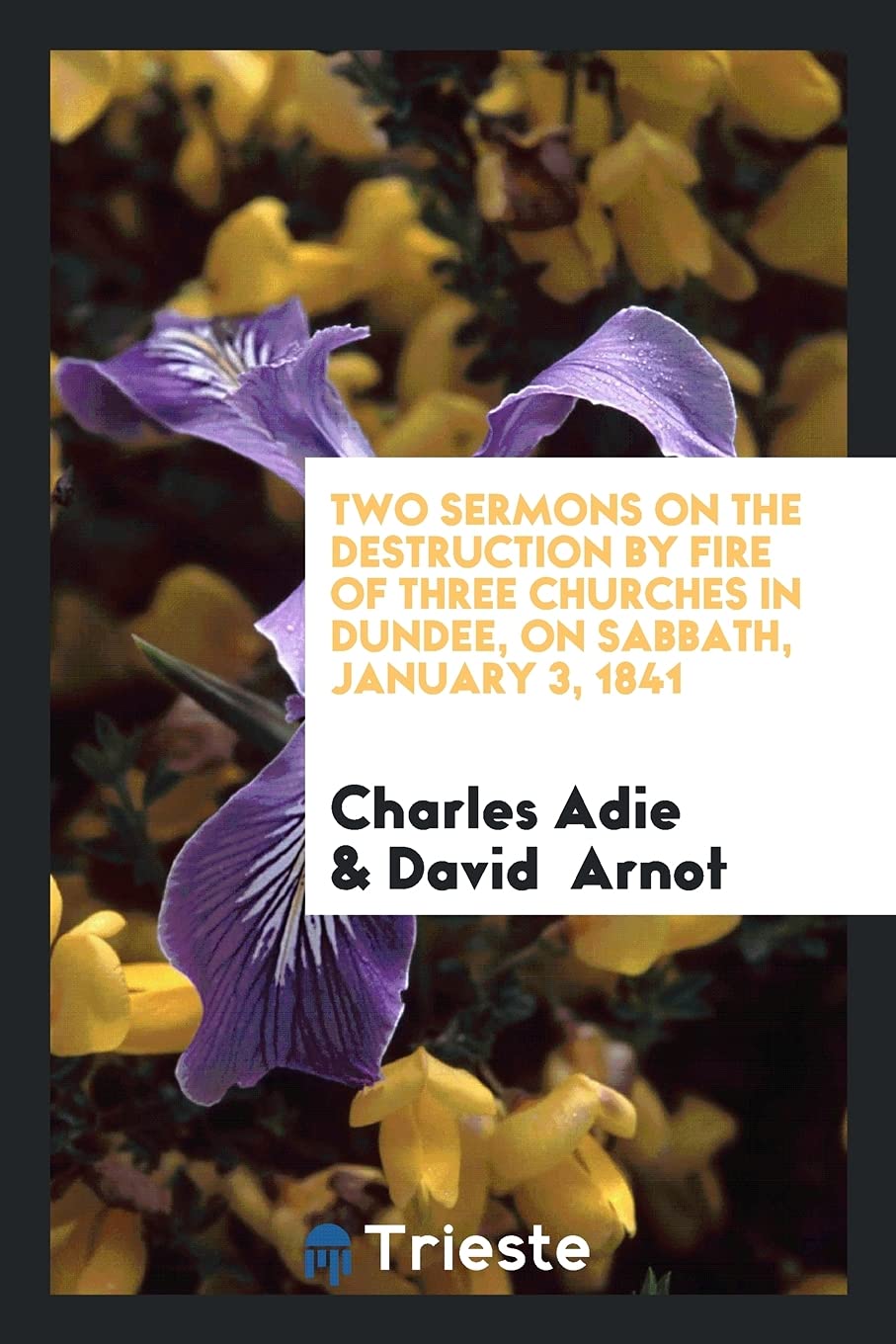 Two Sermons on the Destruction by Fire of Three Churches in Dundee, on Sabbath, January 3, 1841 Politics & History