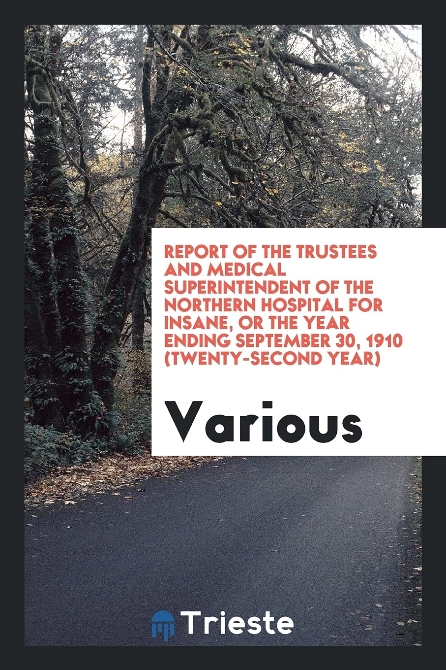 Report of the Trustees and Medical Superintendent of the Northern Hospital for Insane, or the Year Ending September 30, 1910 (Twenty-Second Year) Books