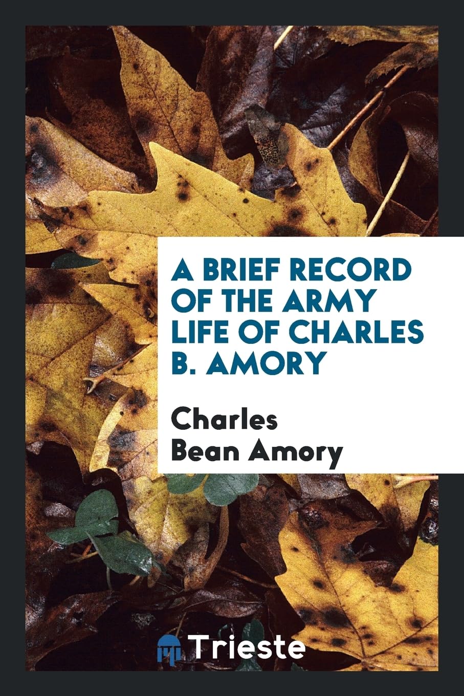 A Brief Record of the Army Life of Charles B. Amory Politics & History