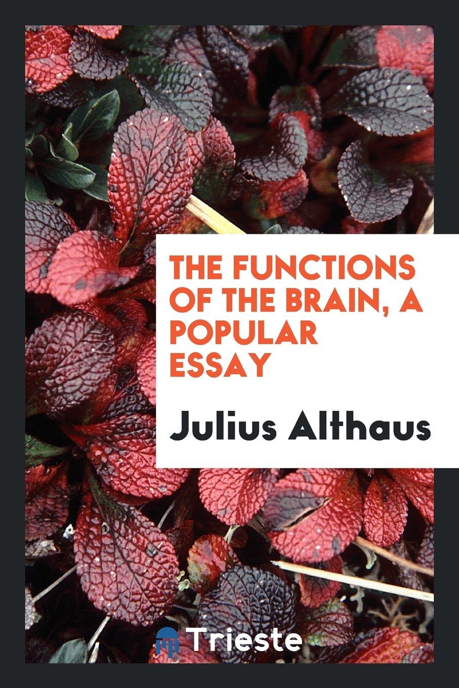 The Functions of the Brain, a Popular Essay Medicine