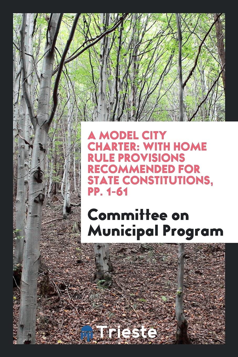 A Model City Charter: With Home Rule Provisions Recommended for State Constitutions, Pp. 1-61 Books