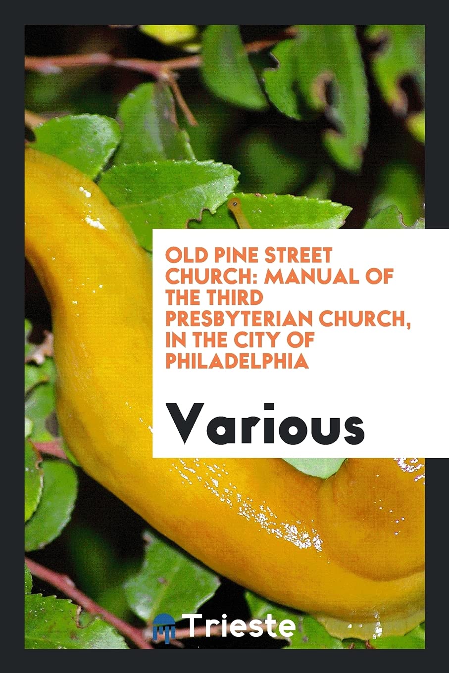 Old Pine Street Church: Manual of the Third Presbyterian Church, in the City of Philadelphia Books