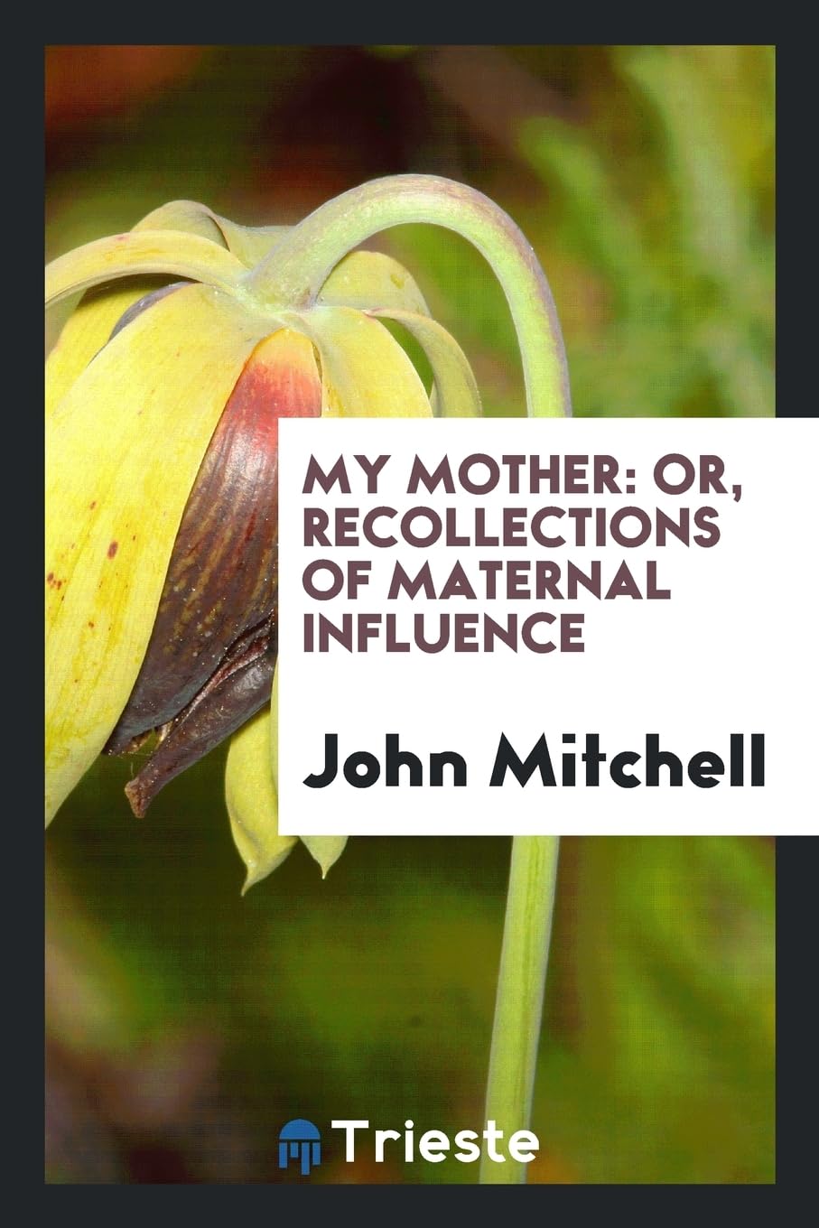 My Mother: Or, Recollections of Maternal Influence Books