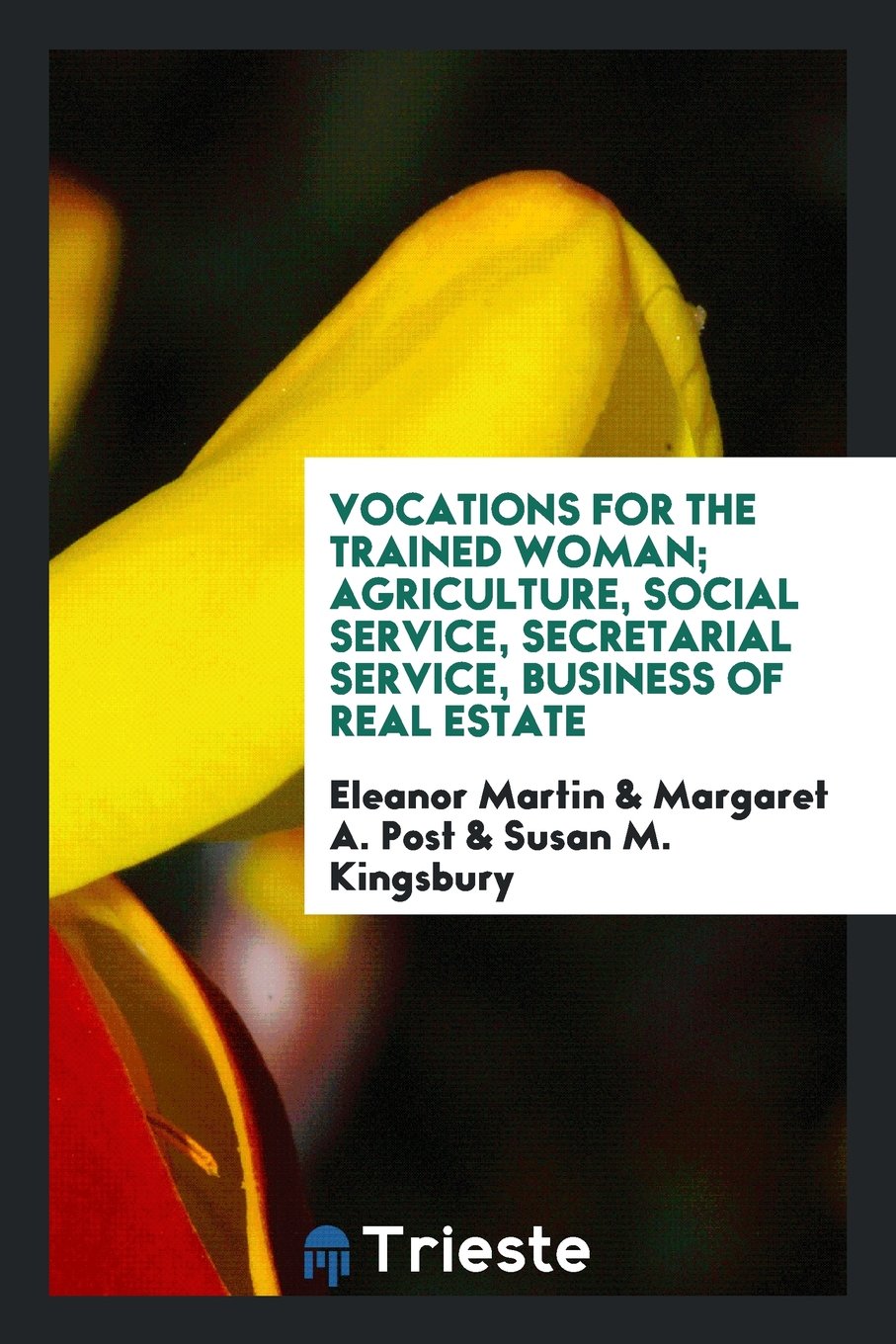 Vocations for the Trained Woman; Agriculture, Social Service, Secretarial Service, Business of Real Estate Politics & History