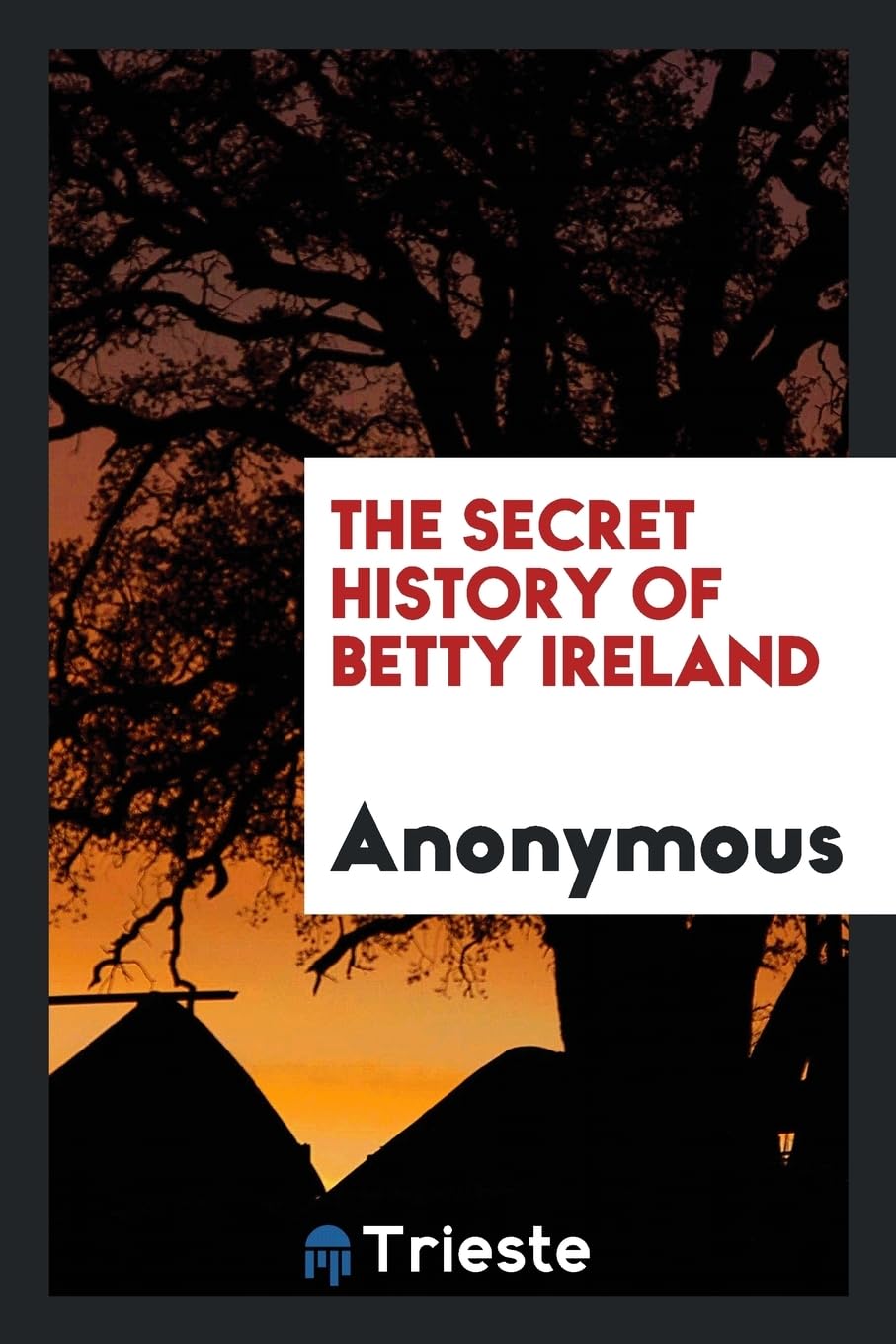 The Secret History of Betty Ireland Books