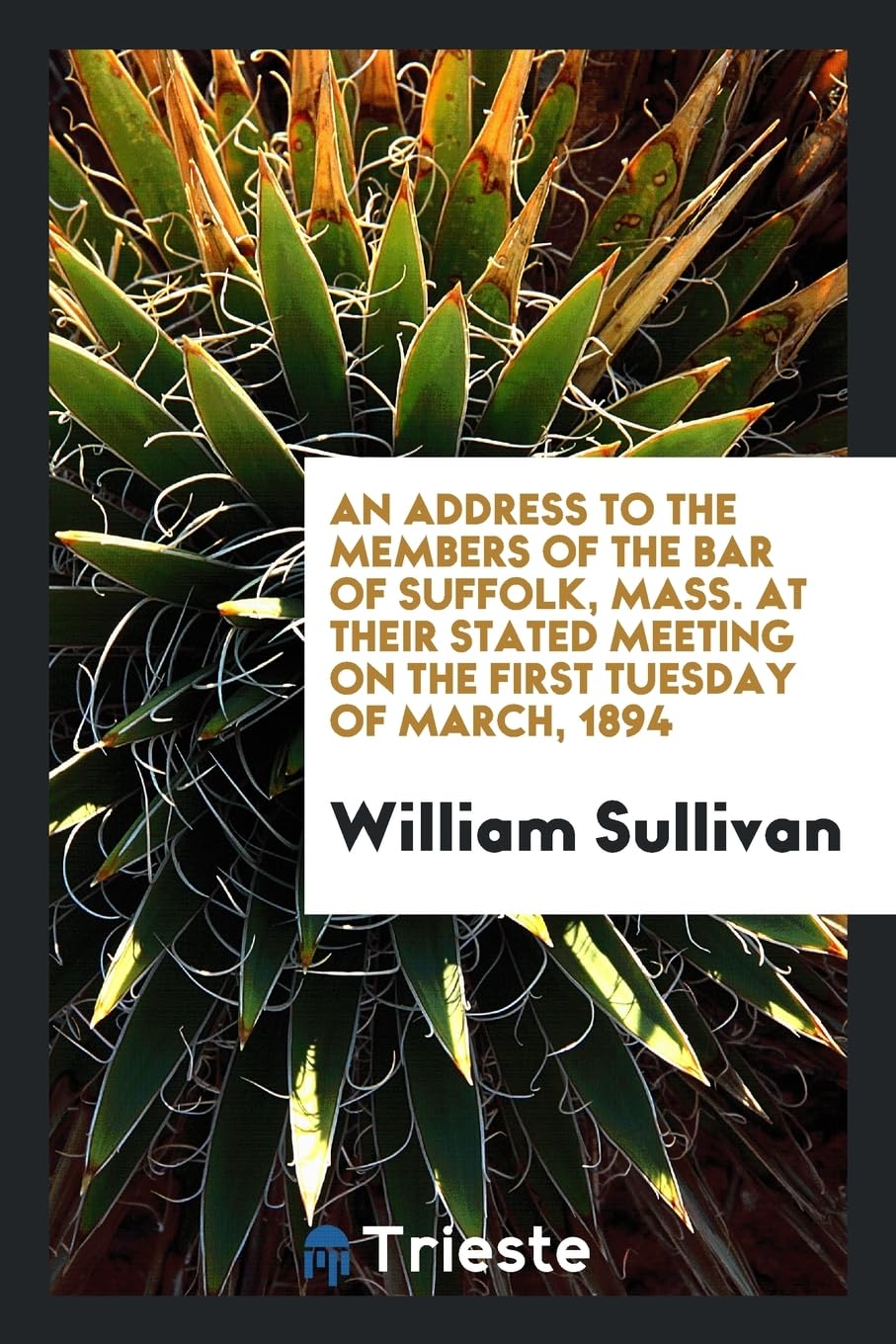 An Address to the Members of the Bar of Suffolk, Mass. at Their Stated Meeting on the First Tuesday of March, 1894 Books