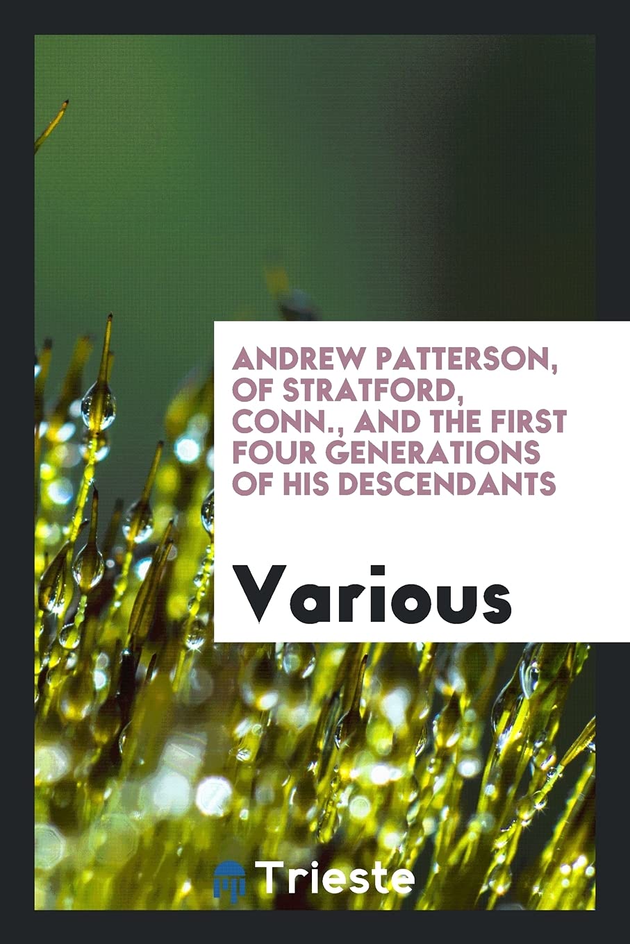 Andrew Patterson, of Stratford, Conn., and the First Four Generations of His Descendants Books