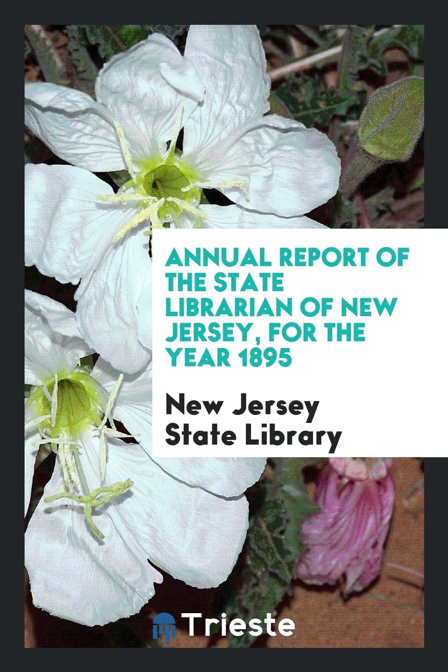 Annual Report of the State Librarian of New Jersey, for the Year 1895 Natural Sciences