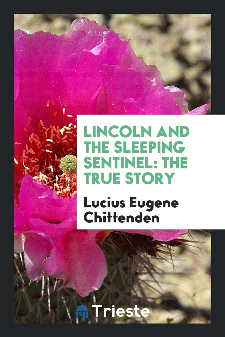 Lincoln and the Sleeping Sentinel: The True Story Contemporary literature