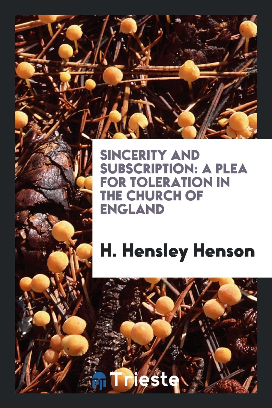 Sincerity and Subscription: A Plea for Toleration in the Church of England Books
