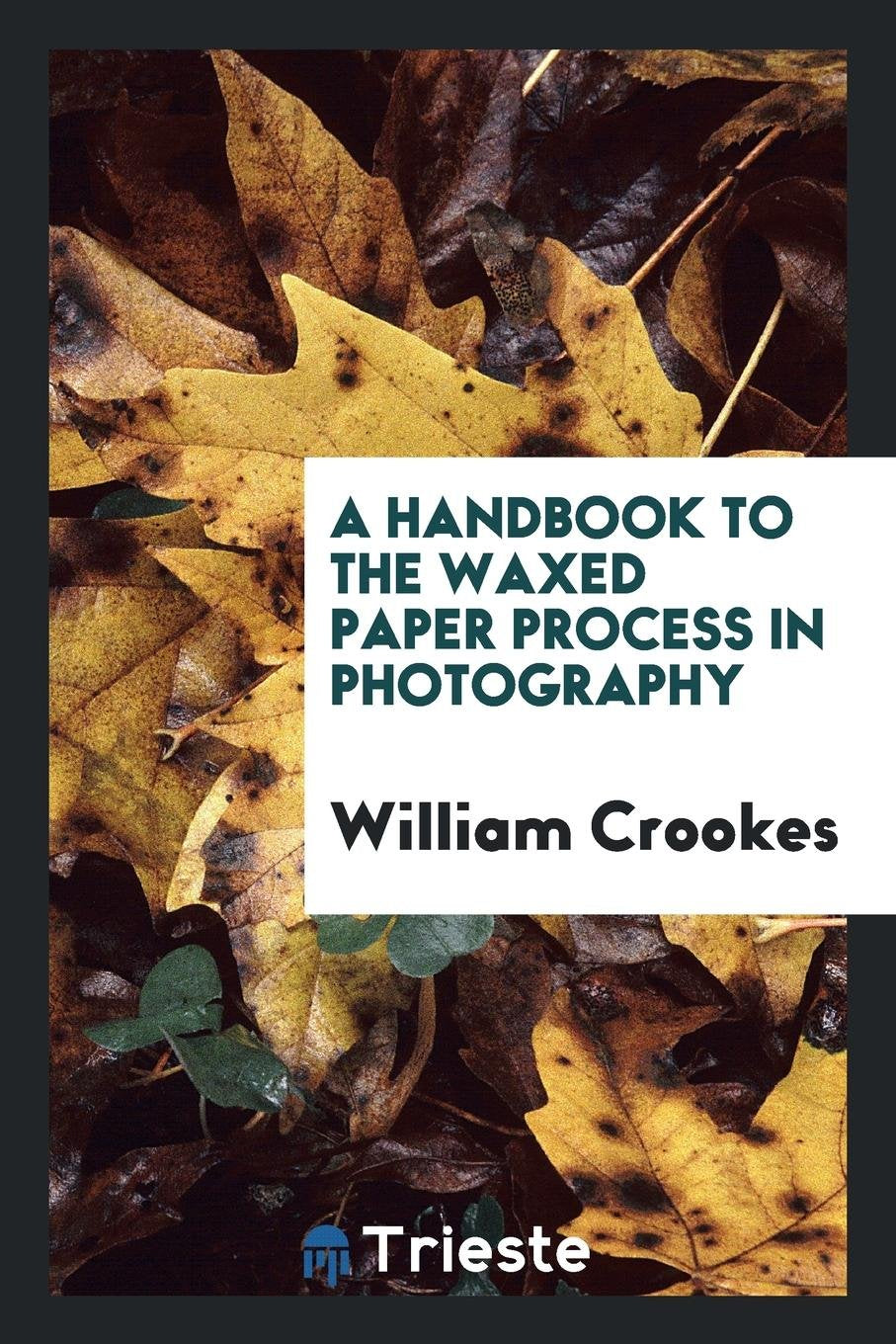 A Handbook to the Waxed Paper Process in Photography: By William Crookes Hobbies & Crafts