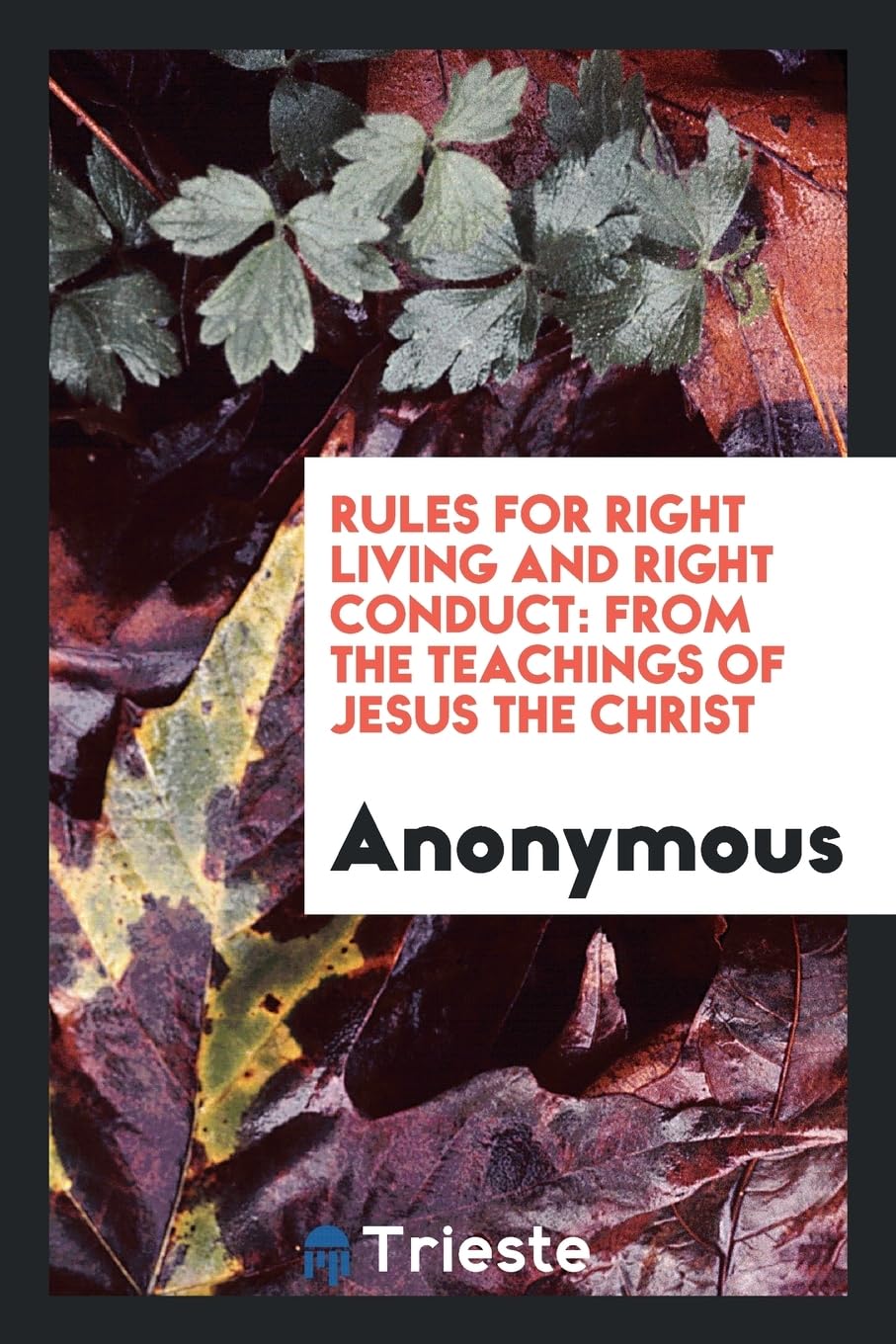Rules for Right Living and Right Conduct: From the Teachings of Jesus the Christ Religion & Esotericism
