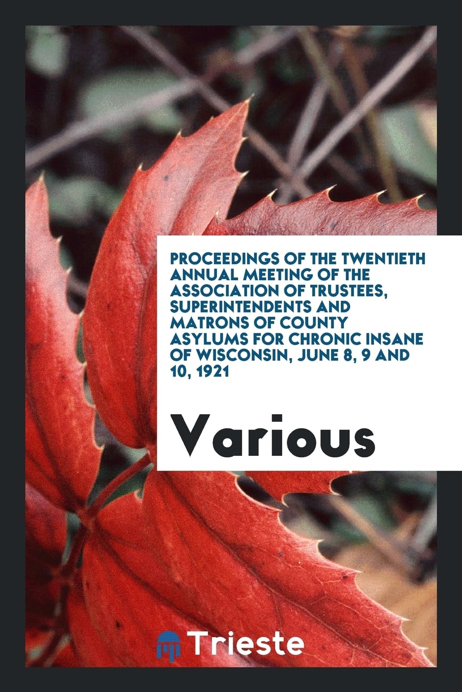Proceedings of the Twentieth Annual Meeting of the Association of Trustees, Superintendents and Matrons of County Asylums for Chronic Insane of Wisconsin, June 8, 9 and 10, 1921 Books