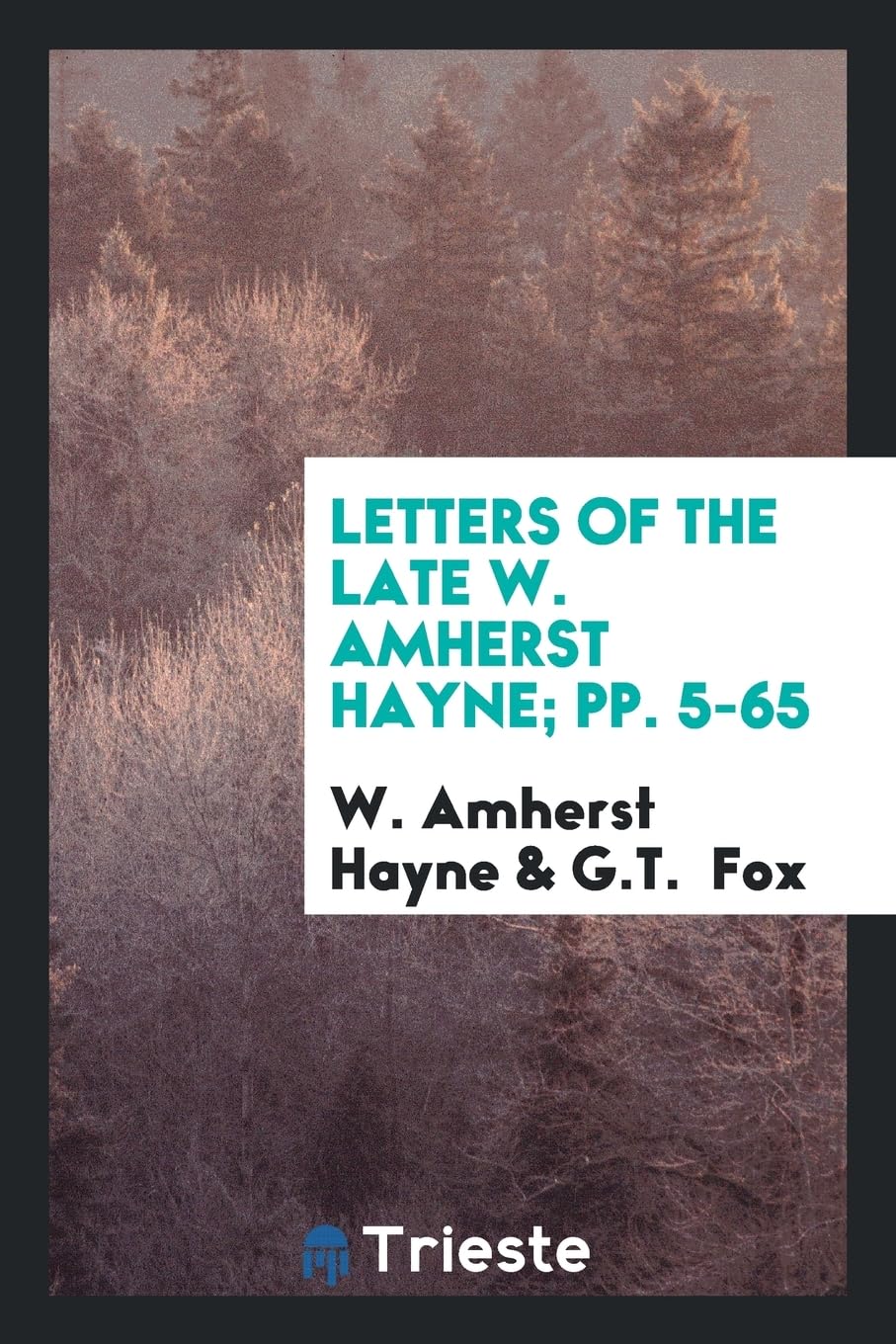 Letters of the Late W. Amherst Hayne; Pp. 5-65 Politics & History