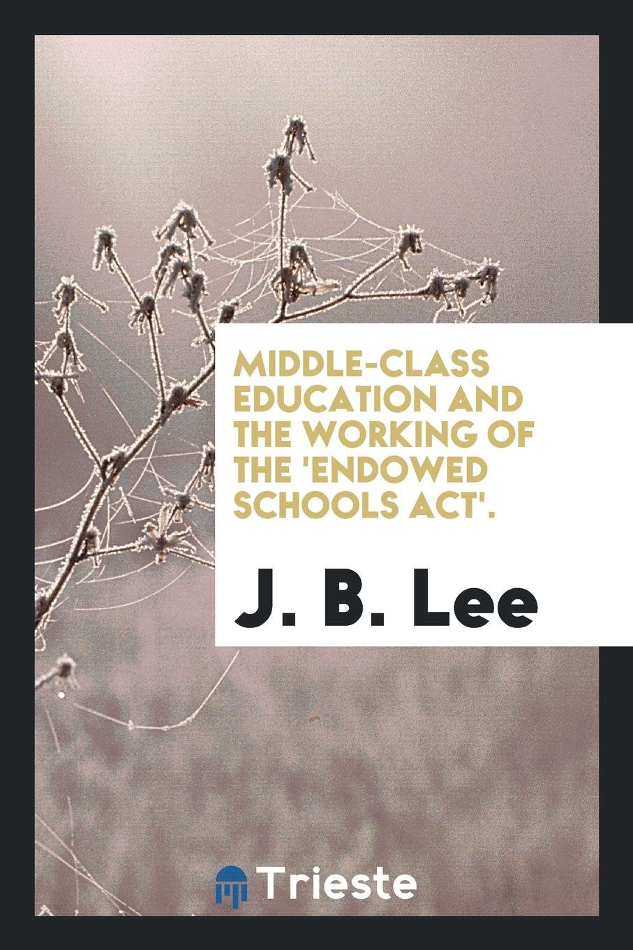 Middle-Class Education and the Working of the 'endowed Schools Act'. Non-fiction