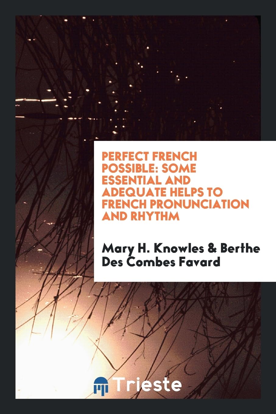 Perfect French Possible: Some Essential and Adequate Helps to French Pronunciation and Rhythm Politics & History