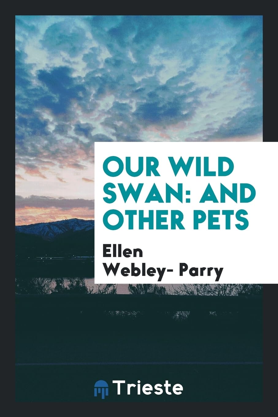 Our Wild Swan: And Other Pets Religion & Esotericism