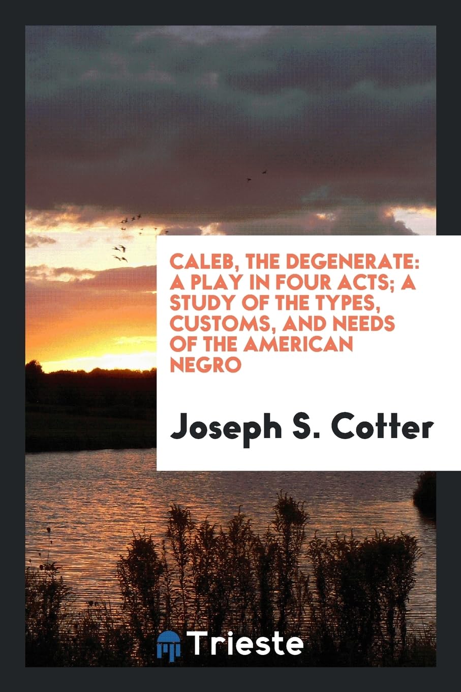 Caleb, the Degenerate: A Play in Four Acts; A Study of the Types, Customs, and Needs of the American Negro Books